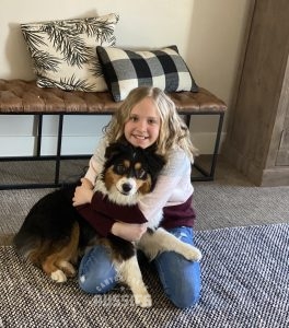 Australian Shepherd breeder in Utah